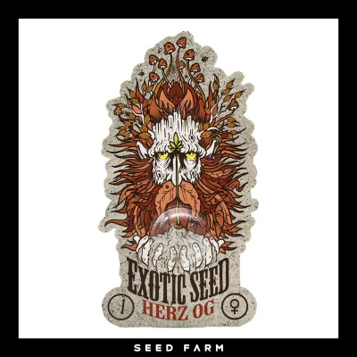 Exotic Seed - HERZ OG - Feminized - 1 Seed
