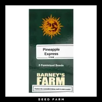 Barneys Farm - PINEAPPLE EXPRESS - Feminized - 3 Seeds