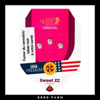 Royal Queen Seeds - SWEET ZZ - Feminized - 3 Seeds