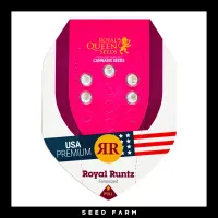 Royal Queen Seeds - ROYAL RUNTZ - Feminized - 5 Seeds