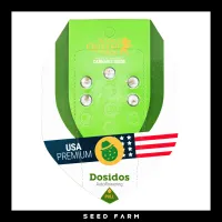 Royal Queen Seeds - DO-SI-DOS - Automatic - 5 Seeds