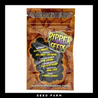 Ripper Seeds - RIPPER BADAZZ - Regular - 12 Seeds
