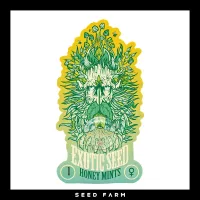 Exotic Seed - HONEY MINTS - Feminized - 1 Seed