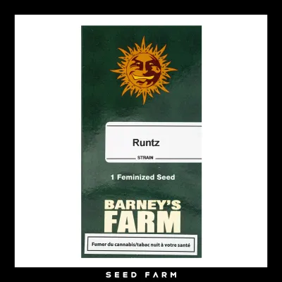 Barneys Farm - RUNTZ - Feminized