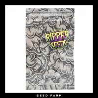 Ripper Seeds - SOUR RIPPER - Automatic