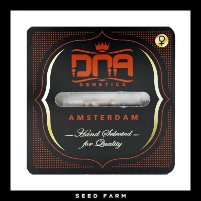 DNA Genetics - CANNALOPE HAZE - Feminized