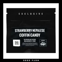 Doja - STRAWBERRY NEPALESE x COFFIN CANDY - Regular
