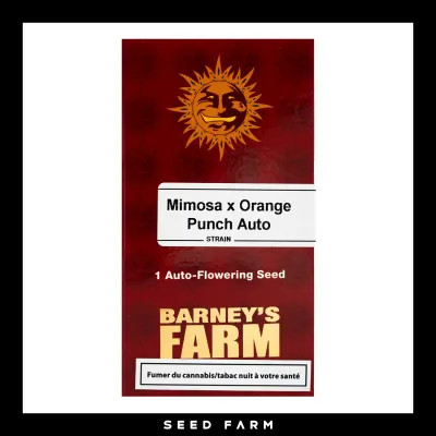 Barneys Farm - MIMOSA X ORANGE PUNCH - Automatic