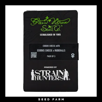 Green House Seed - EXODUS CHEESE - Automatic