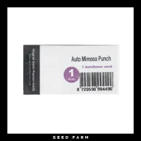Dutch Passion - MIMOSA PUNCH - Automatic