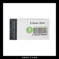Dutch Passion - FRISIAN DEW - Feminized - 3 Seeds