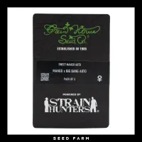 Green House Seed - SWEET MANGO - Automatic - 3 Seeds