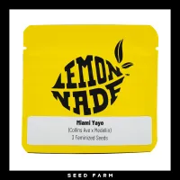 Cookies Lem. - MIAMI YAYO - Feminized