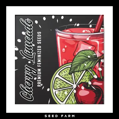 Doja - CHERRY LIMEADE - Feminized - 6 Seeds