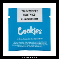 Cookies - TROP COOKIES X HOLLYWOOD - Feminized