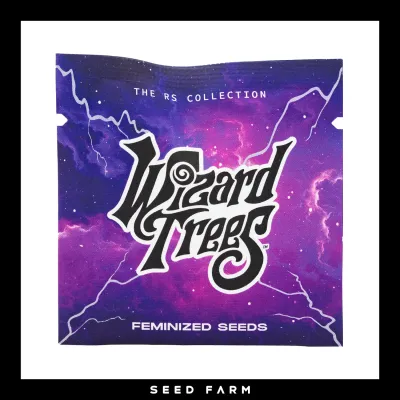 Wizard Trees - BIG Z - Feminized