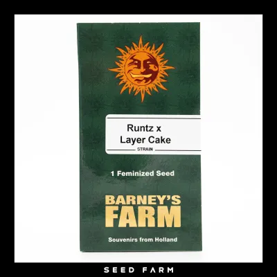 Barneys Farm - RUNTZ X LAYER CAKE - Feminized