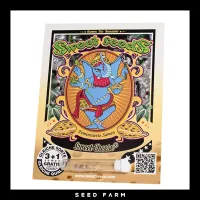 Sweet Seeds - SWEET CHEESE - Feminized