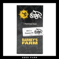 Barneys Farm x Doja - RS11 x BANANA OG - Feminized