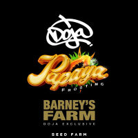 Barneys Farm x Doja - PAPAYA FROSTING - Feminized - 1 Seed